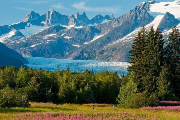 a large green field with a mountain in the background